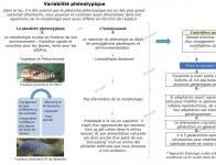 La plasticité phénotypique