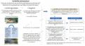 Phenotypique2