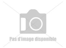 sp. aff polyodon 4 "Mabilibili"