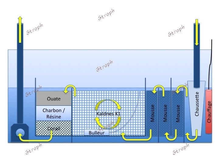 docfish decantation externe2