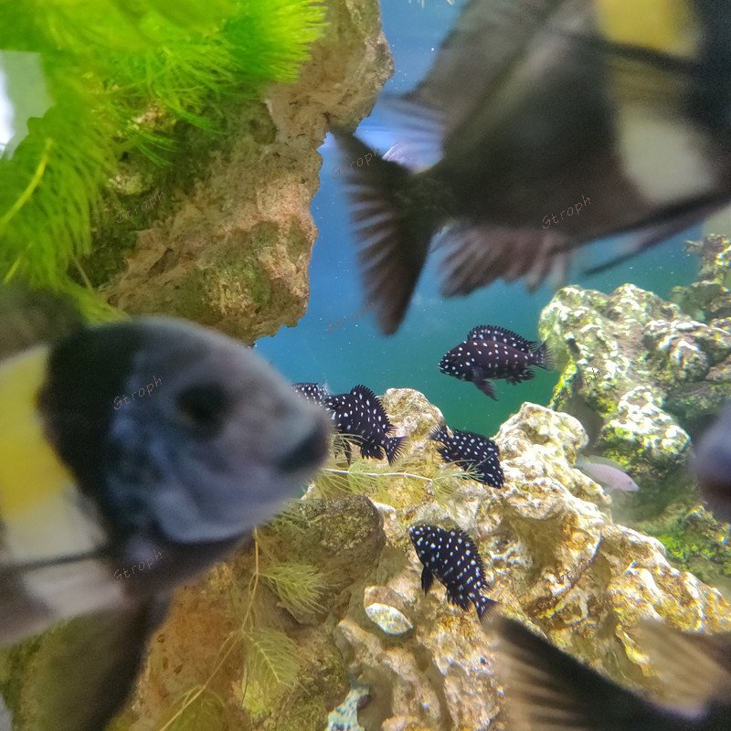 philB  parents et jeunes